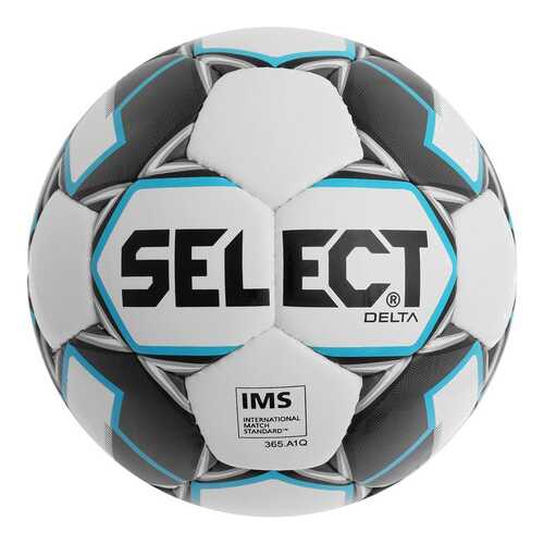 Футбольный мяч Select Delta №5 white/black/blue в Спортмастер