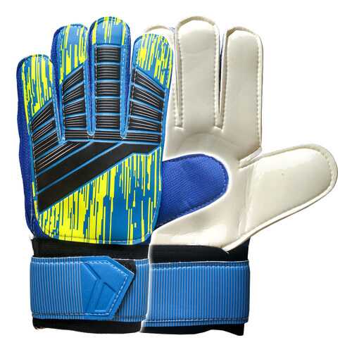 Вратарские перчатки Hawk E29484, синий, 10 в Спортмастер